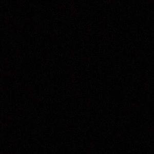 Meet your Posher, Carl